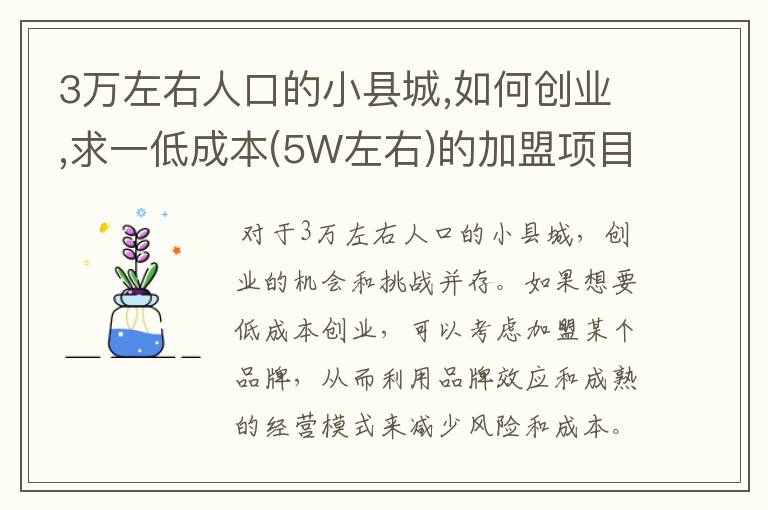 3万左右人口的小县城,如何创业,求一低成本(5W左右)的加盟项目