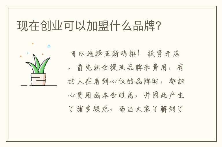 现在创业可以加盟什么品牌？