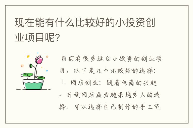 现在能有什么比较好的小投资创业项目呢?