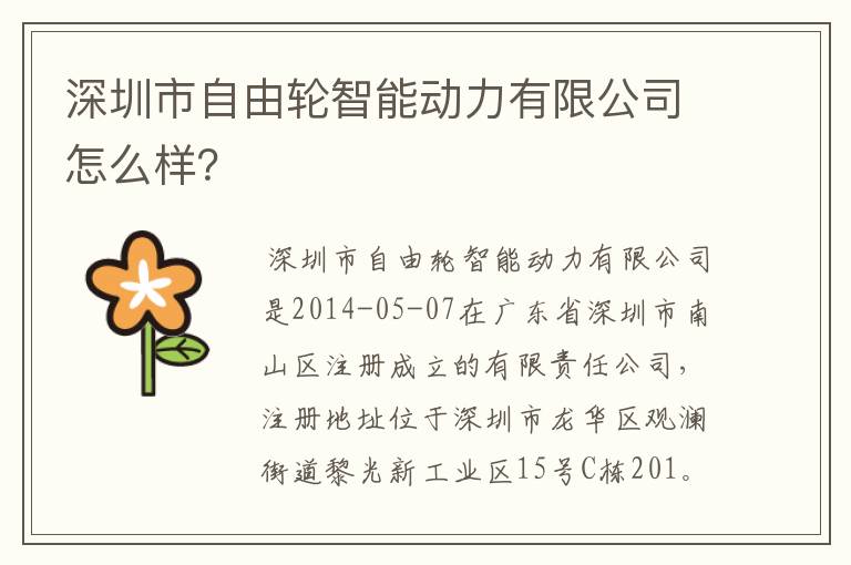 深圳市自由轮智能动力有限公司怎么样？