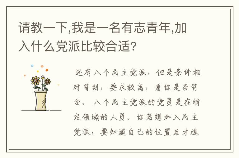 请教一下,我是一名有志青年,加入什么党派比较合适?