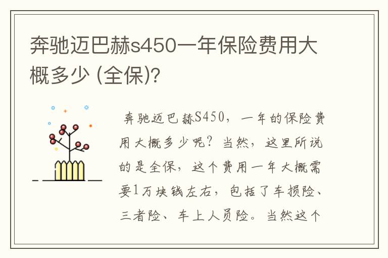 奔驰迈巴赫s450一年保险费用大概多少 (全保)？