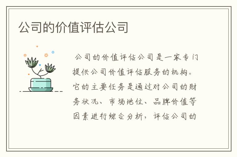 公司的价值评估公司