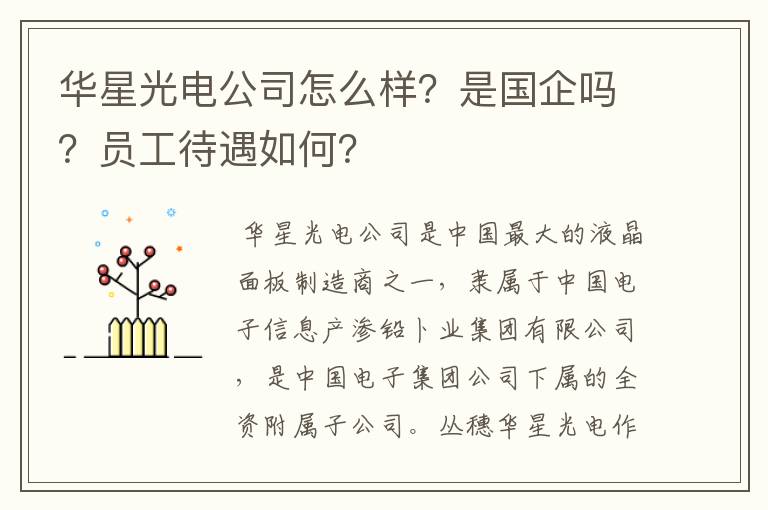 华星光电公司怎么样？是国企吗？员工待遇如何？