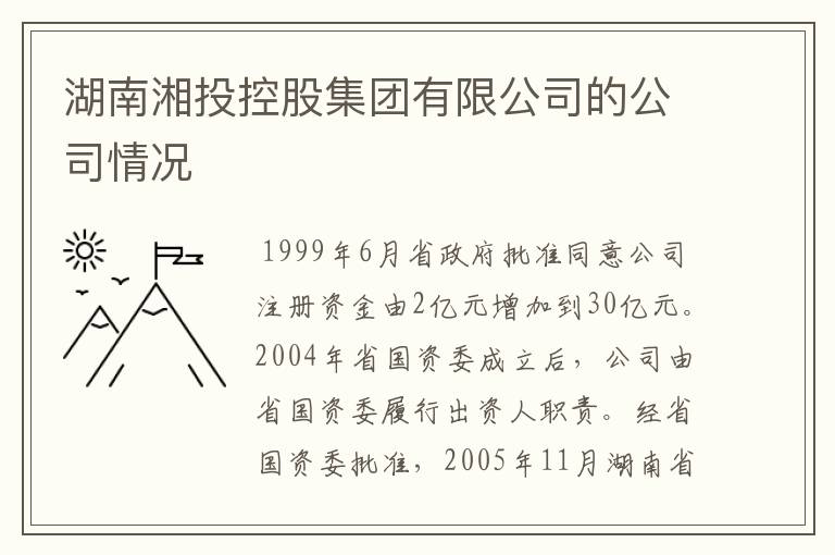 湖南湘投控股集团有限公司的公司情况