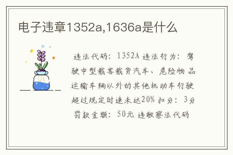 电子违章1352a,1636a是什么