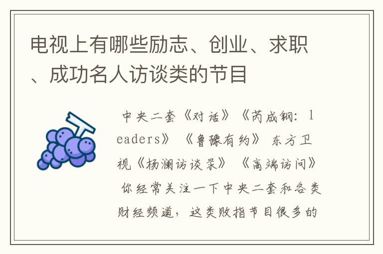 电视上有哪些励志、创业、求职、成功名人访谈类的节目