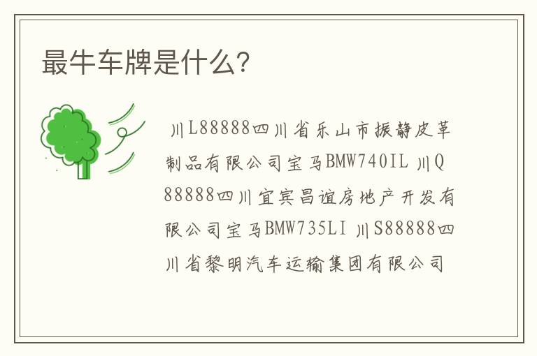 最牛车牌是什么？