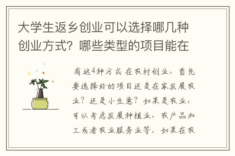 大学生返乡创业可以选择哪几种创业方式？哪些类型的项目能在乡村大放异彩？