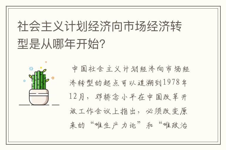 社会主义计划经济向市场经济转型是从哪年开始？