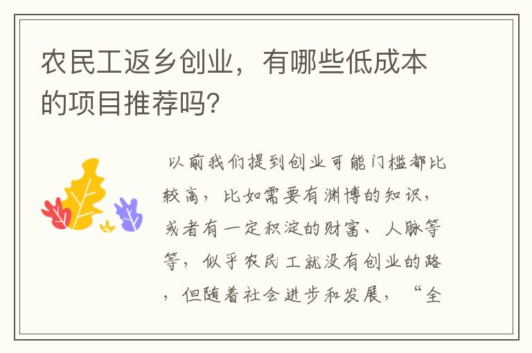 农民工返乡创业，有哪些低成本的项目推荐吗？