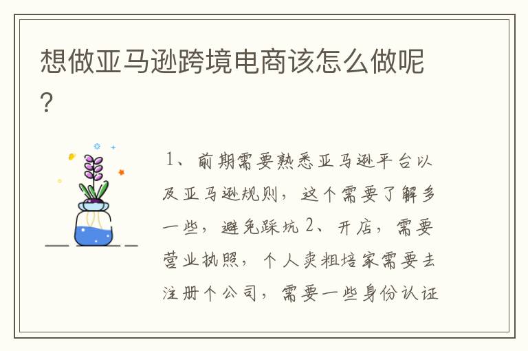 想做亚马逊跨境电商该怎么做呢？