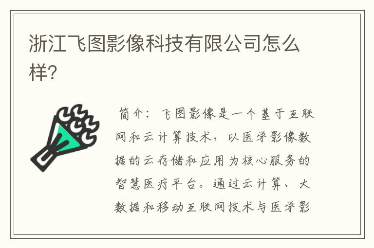 浙江飞图影像科技有限公司怎么样？