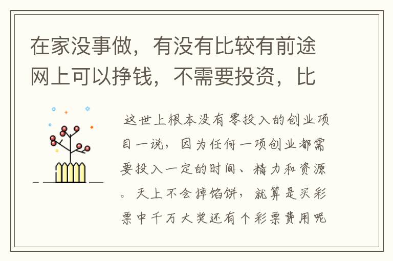 在家没事做，有没有比较有前途网上可以挣钱，不需要投资，比较靠谱的？