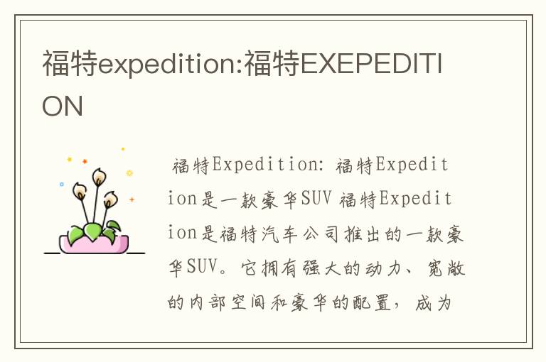 福特expedition:福特EXEPEDITION