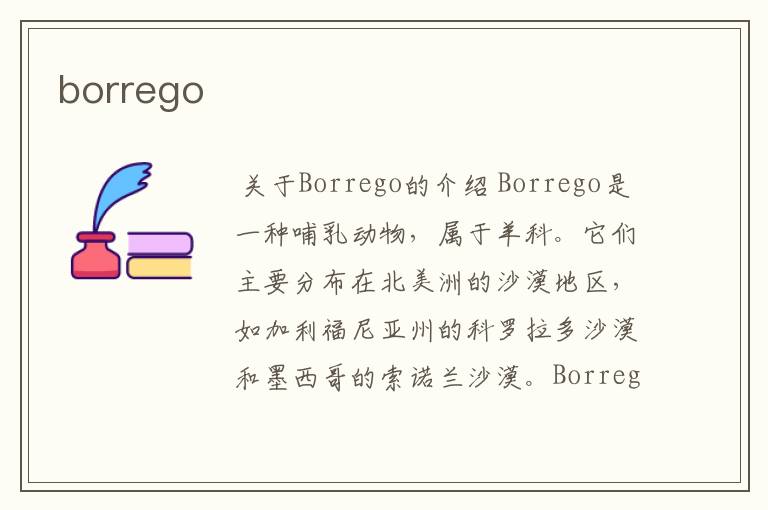 borrego