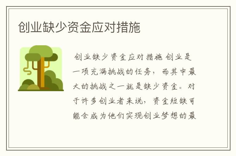 创业缺少资金应对措施