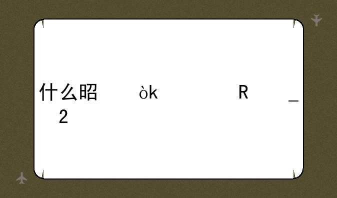 什么是会计电算化