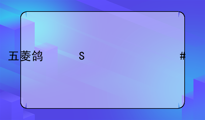 五菱鸿途为什么贵