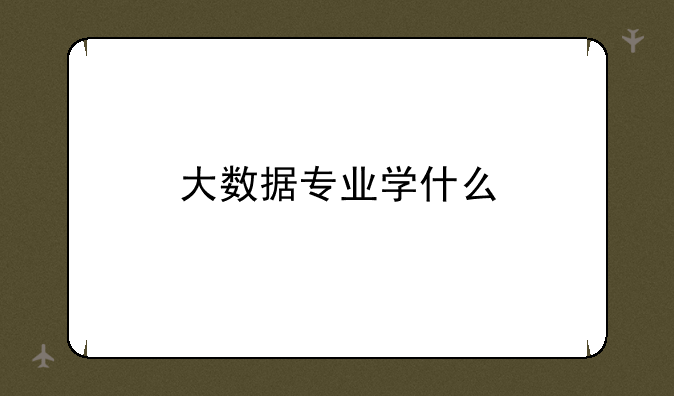 大数据专业学什么