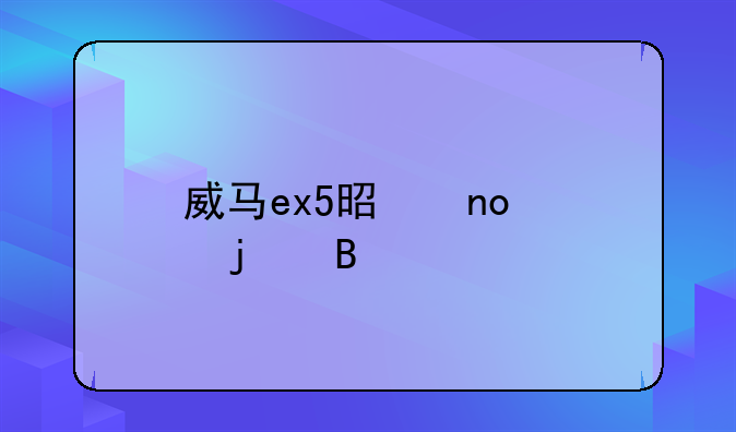 威马ex5是四驱的吗