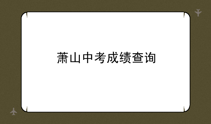 萧山中考成绩查询