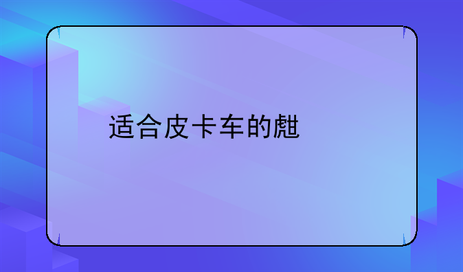 适合皮卡车的生意