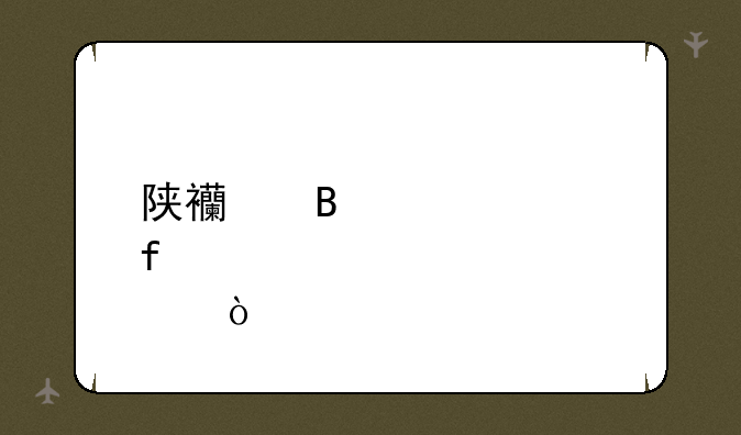 陕西理工学院邮编