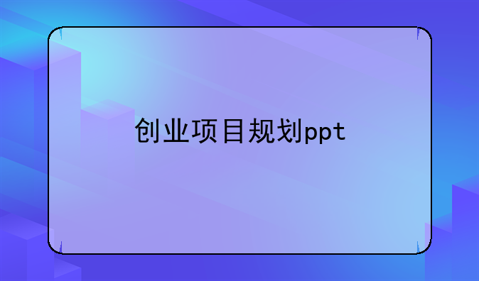 创业项目规划ppt