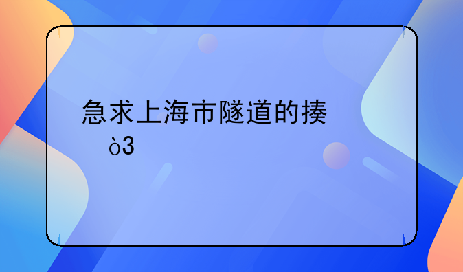 急求上海市隧道的描述，快点