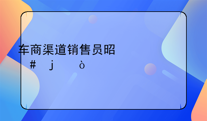 车商渠道销售员是干什么的？