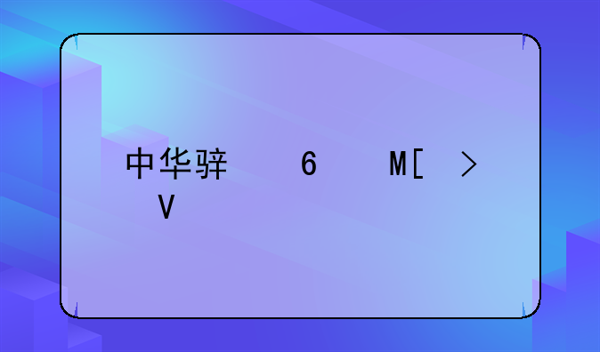 中华骏捷FSV参数详解