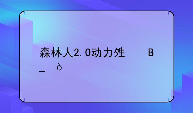 森林人2.0动力够吗？