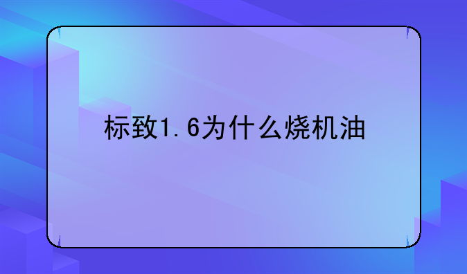 标致1.6为什么烧机油