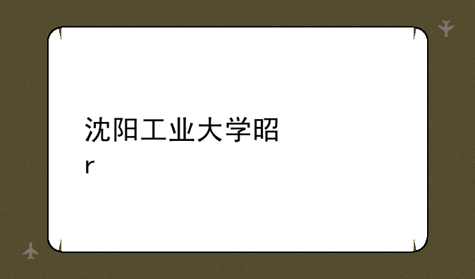 沈阳工业大学是几本