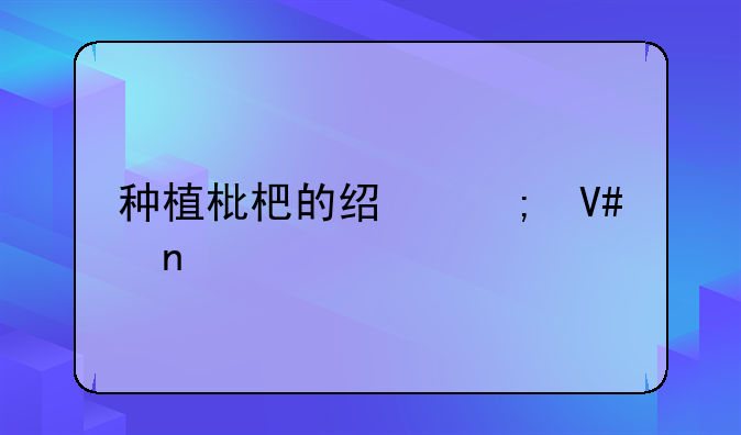 种植枇杷的经济效益