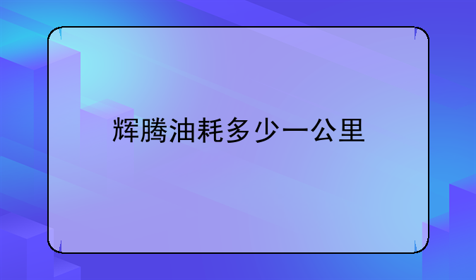 辉腾油耗多少一公里