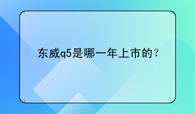 东威q5是哪一年上市的？