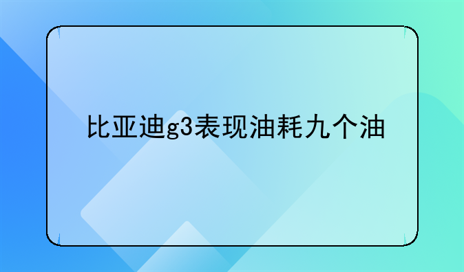 比亚迪g3表现油耗九个油