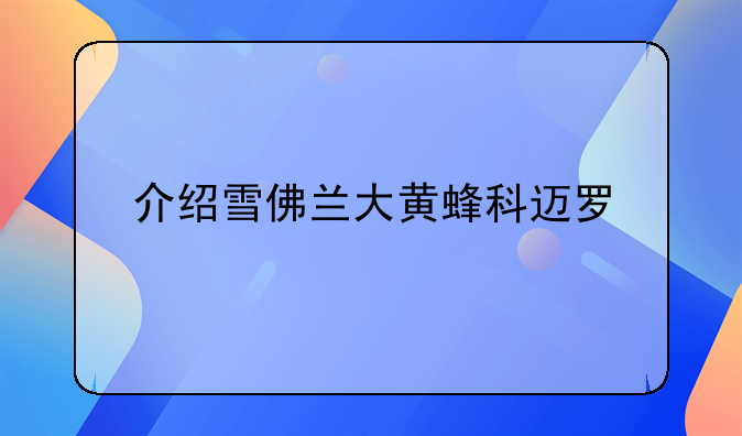 介绍雪佛兰大黄蜂科迈罗