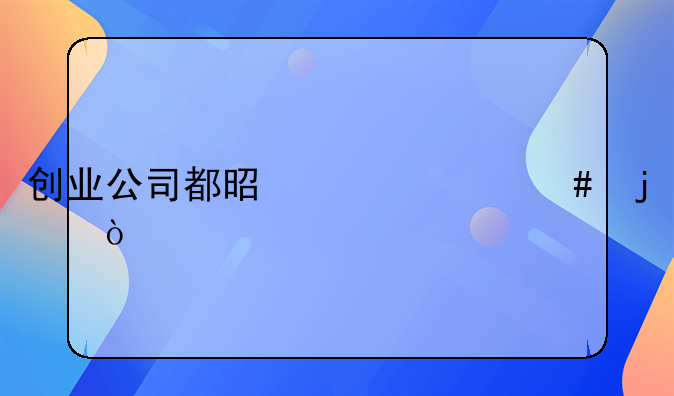 创业公司都是干什么的？