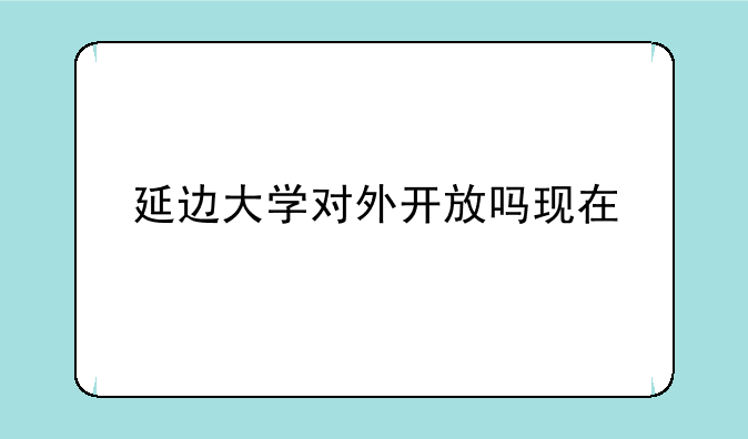 延边大学对外开放吗现在