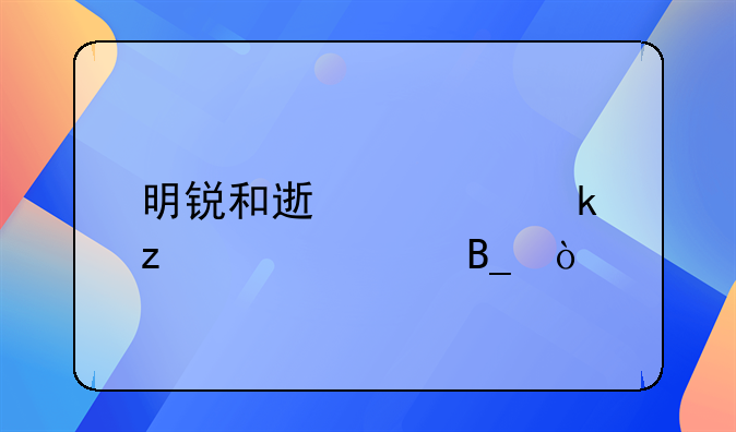 明锐和速腾脚垫一样吗？