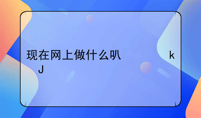 现在网上做什么可以赚钱