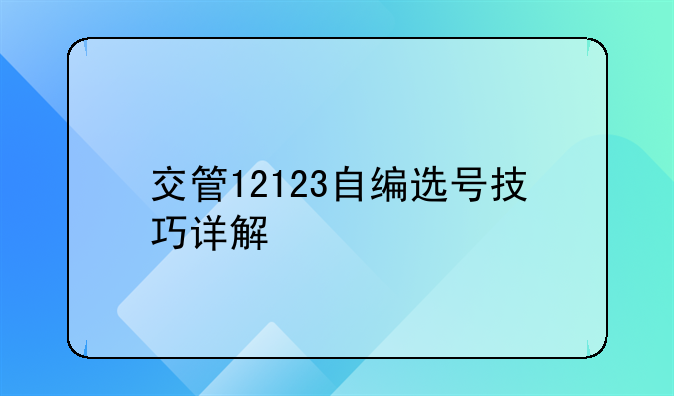 交管12123自编选号技巧详解