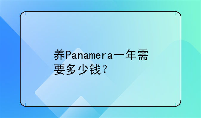 养Panamera一年需要多少钱？