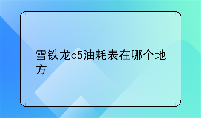 雪铁龙c5油耗表在哪个地方