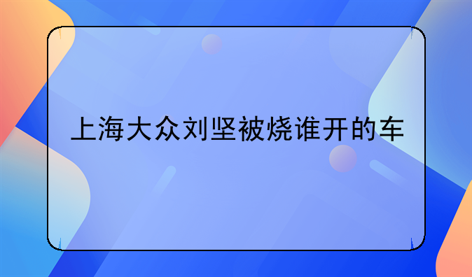 上海大众刘坚被烧谁开的车