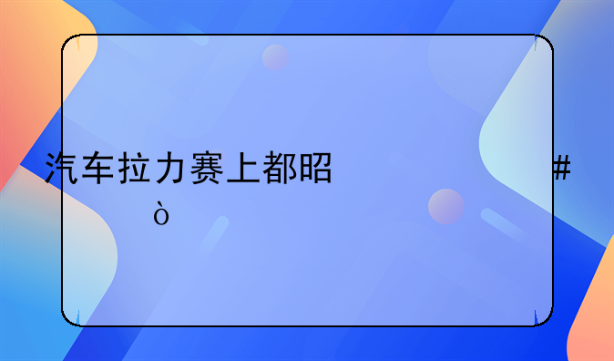 汽车拉力赛上都是什么车？