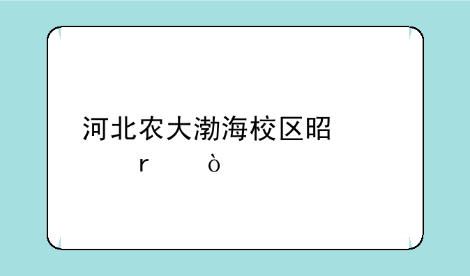 河北农大渤海校区是几本？